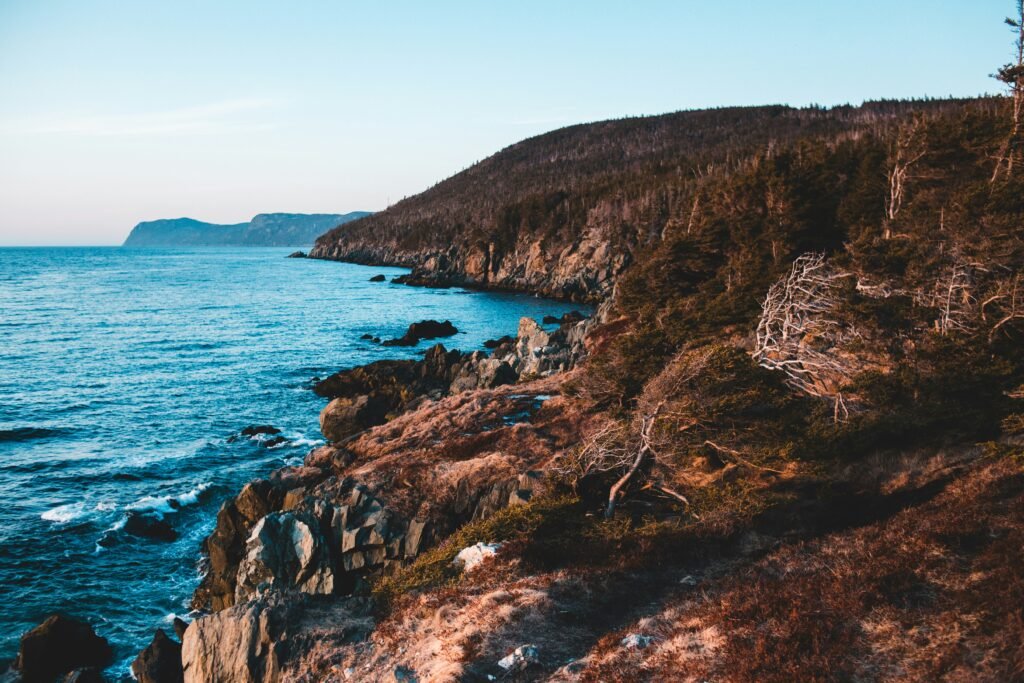 Los Tipos de Climas del Mundo y sus Principales Características