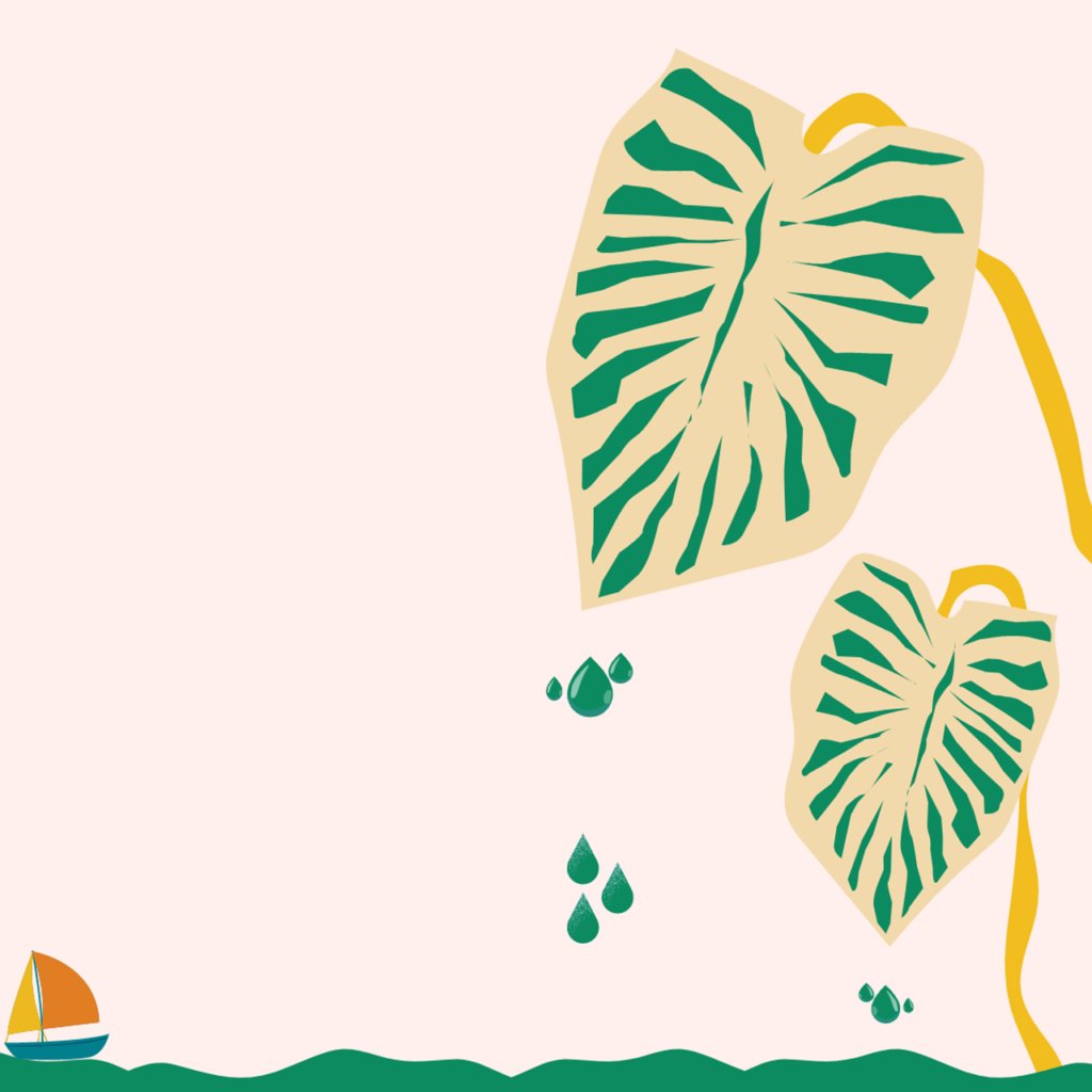 ¿Qué son los ciclos biogeoquímicos?