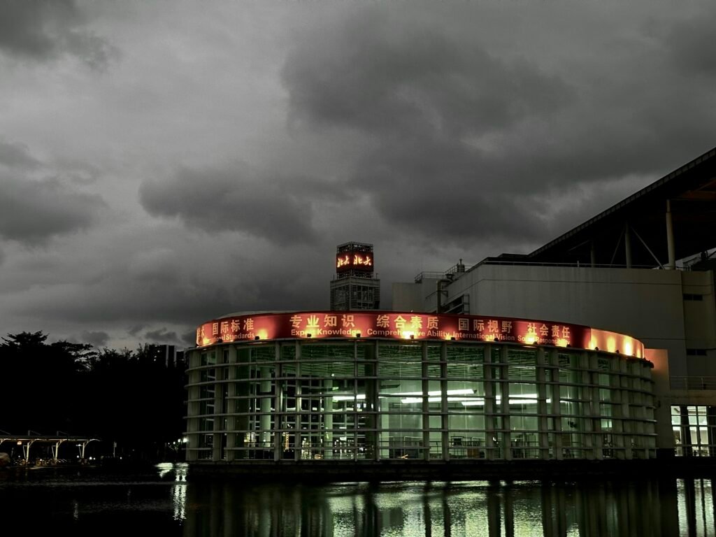 ¿Qué es el sector quinario?